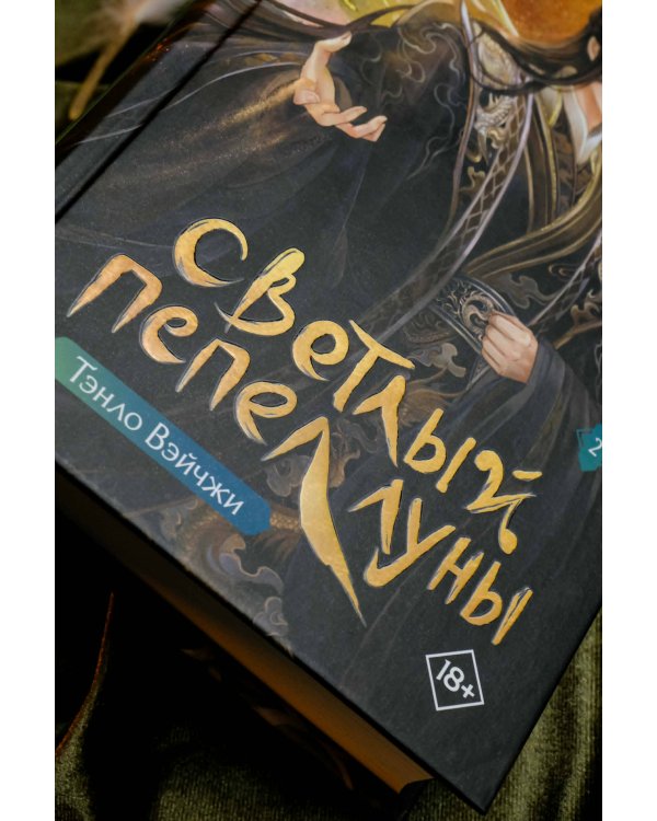 Светлый пепел луны. Книга 2