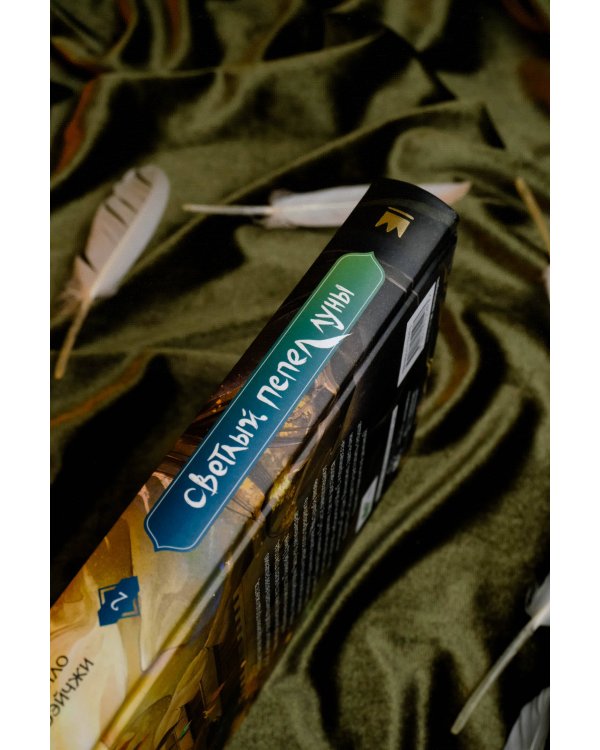 Светлый пепел луны. Книга 2