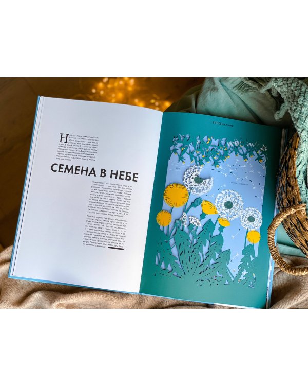 Небо. Интерактивная книга с клапанами и резными иллюстрациями про атмосферу, космос, воздухоплавание