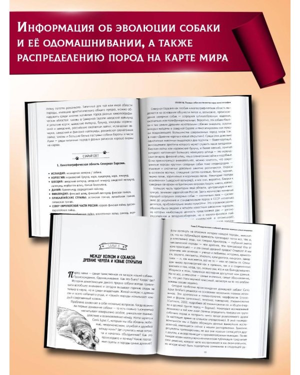 Породы собак Энциклопедия (первая обложка с борзой)