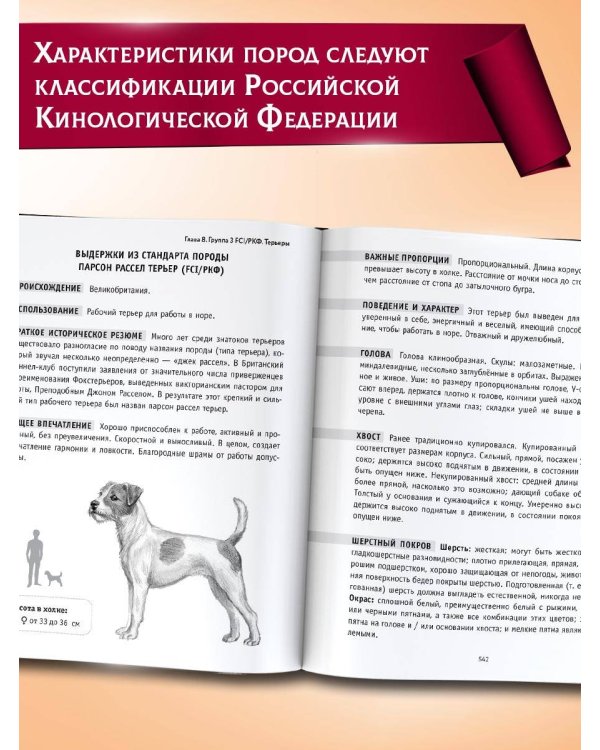 Породы собак Энциклопедия (первая обложка с борзой)