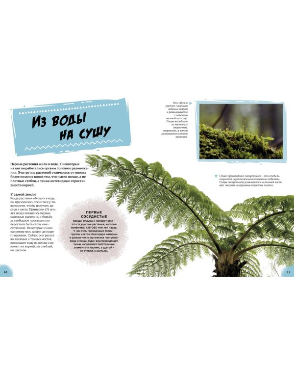 Эра динозавров. Жизнь в доисторические времена