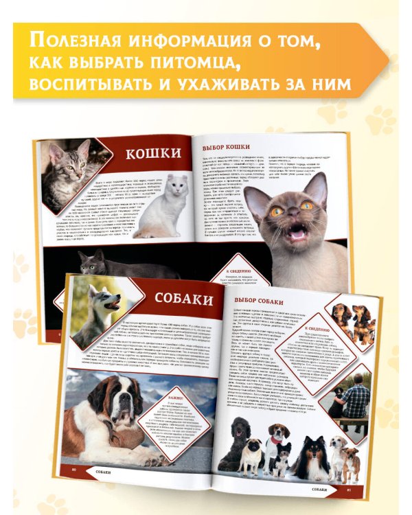 Большая энциклопедия о кошках и собаках