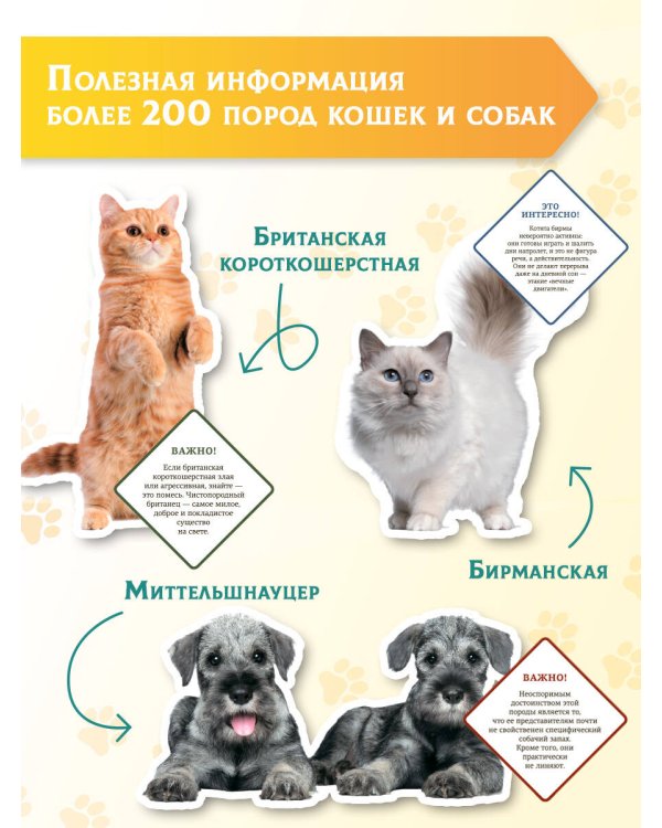 Большая энциклопедия о кошках и собаках