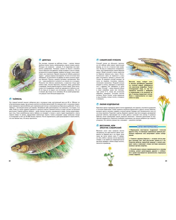 Природа России. Иллюстрированная энциклопедия
