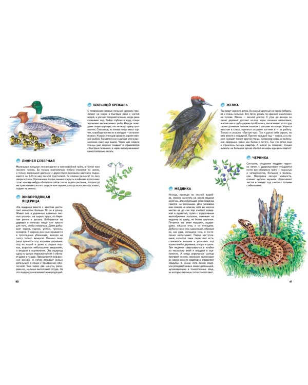 Природа России. Иллюстрированная энциклопедия