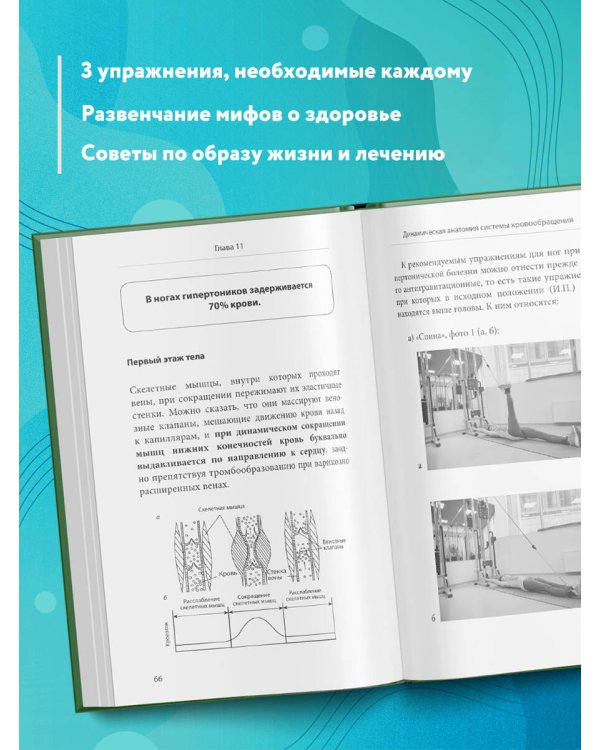 Ленивая гипертония. Как справиться с истинной причиной высокого давления