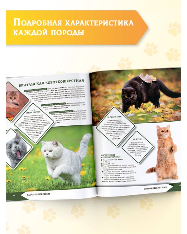 Большая энциклопедия о кошках и собаках