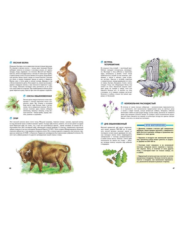 Природа России. Иллюстрированная энциклопедия