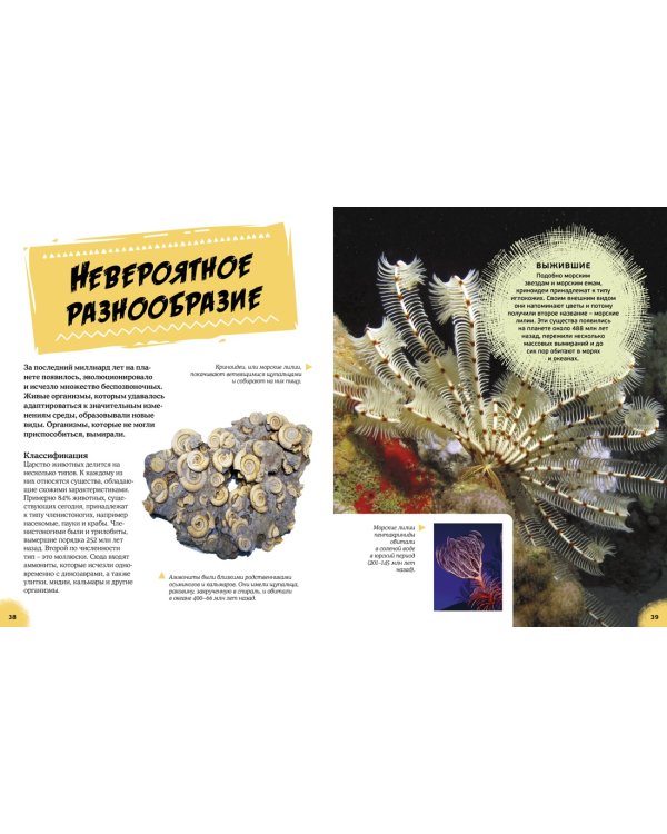 Эра динозавров. Жизнь в доисторические времена