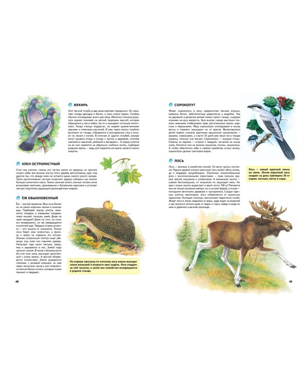 Природа России. Иллюстрированная энциклопедия