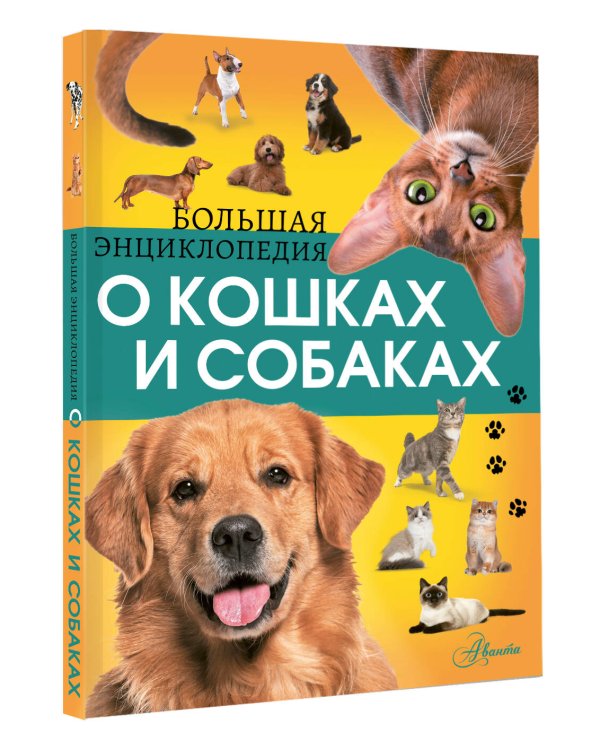 Большая энциклопедия о кошках и собаках