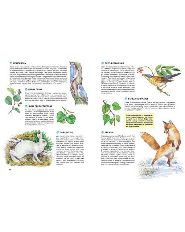 Природа России. Иллюстрированная энциклопедия