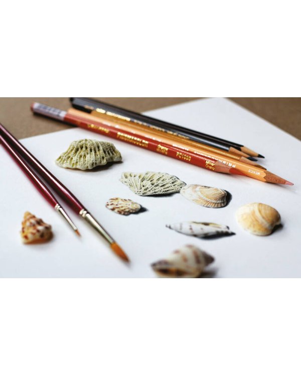 Вызов реальности. Секреты создания точных графических работ от современного мастера гиперреализма