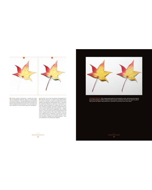 Вызов реальности. Секреты создания точных графических работ от современного мастера гиперреализма