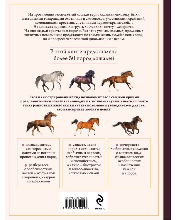 Лошади. Иллюстрированный гид по самым популярным породам