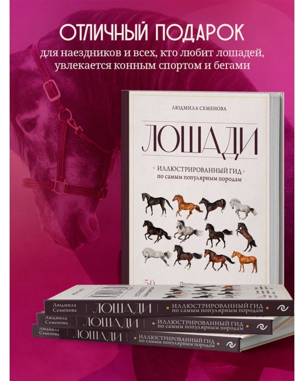 Лошади. Иллюстрированный гид по самым популярным породам