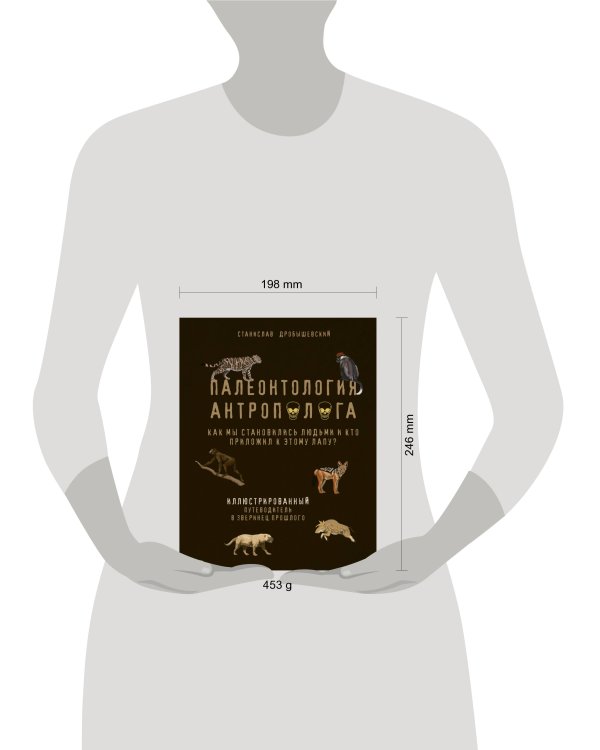 Палеонтология антрополога. Иллюстрированный путеводитель в зверинец прошлого