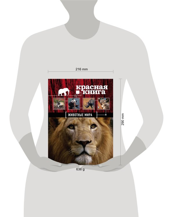 Красная книга. Животные мира