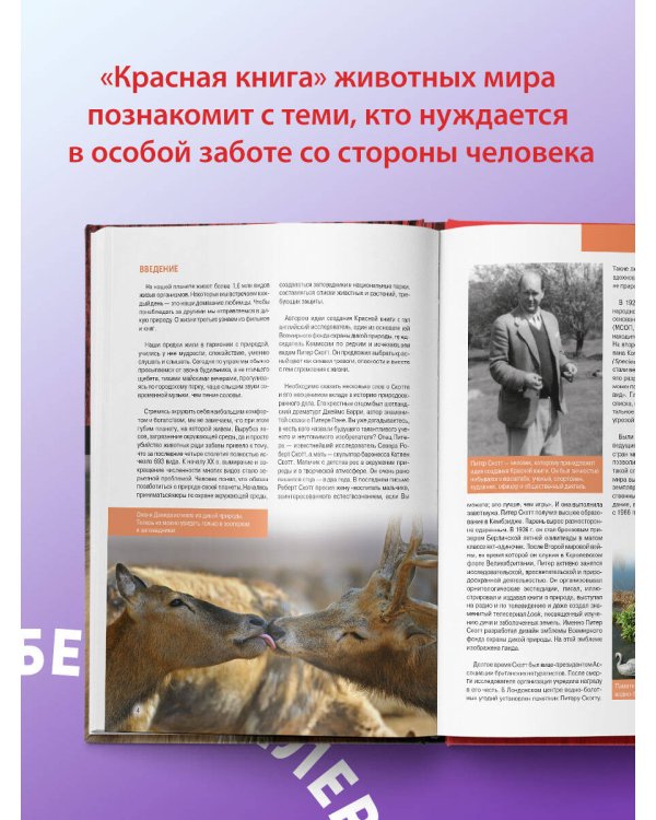 Красная книга. Животные мира