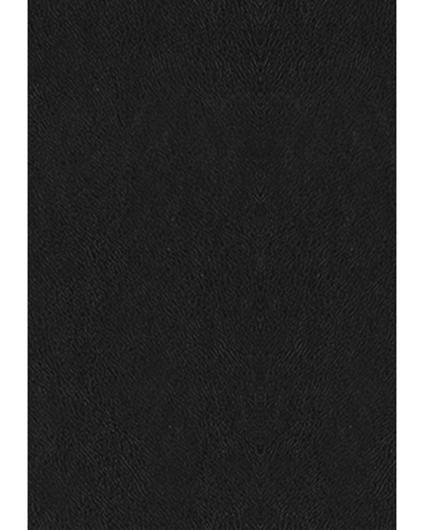 О судьбе и доблести. Александр Македонский