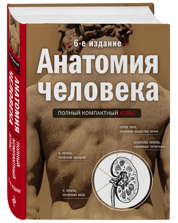 Анатомия человека: полный компактный атлас. 6-е издание