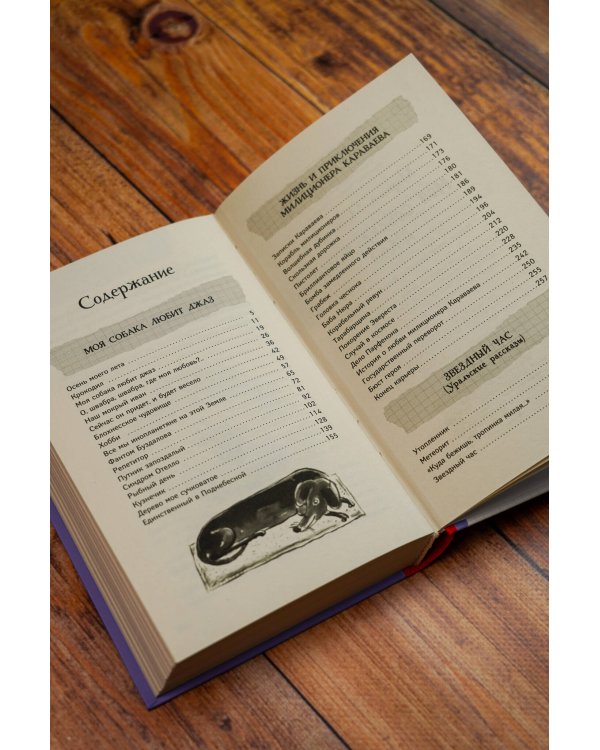 Моя собака любит джаз