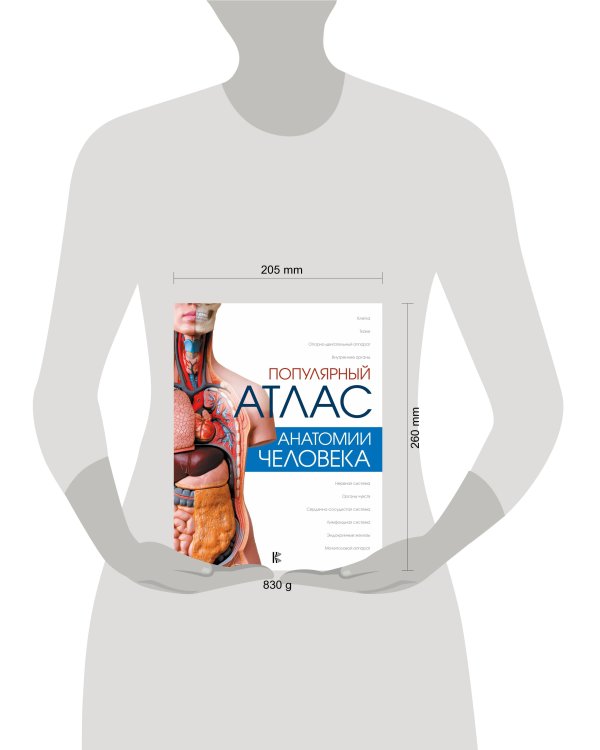 Популярный атлас анатомии человека