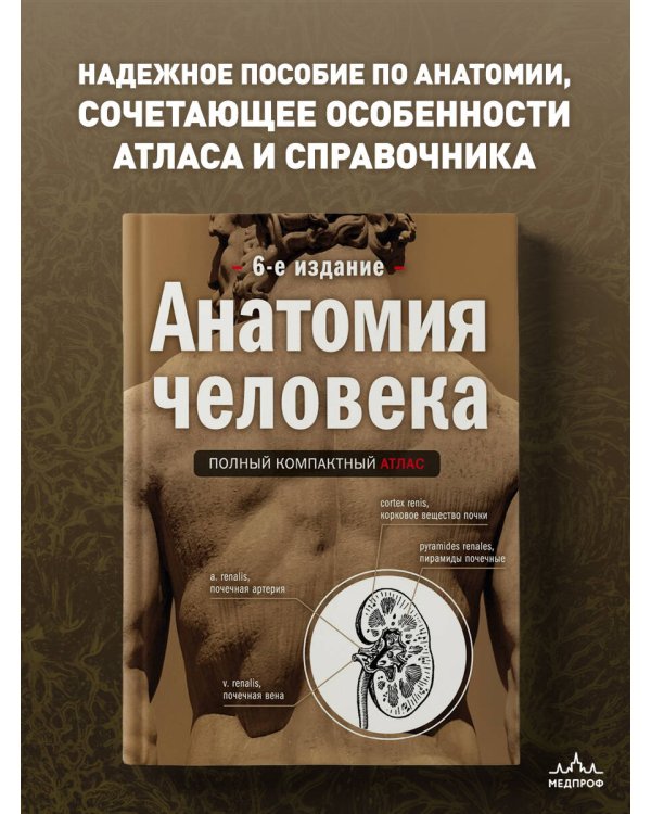 Анатомия человека: полный компактный атлас. 6-е издание