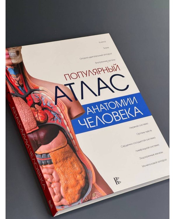 Популярный атлас анатомии человека