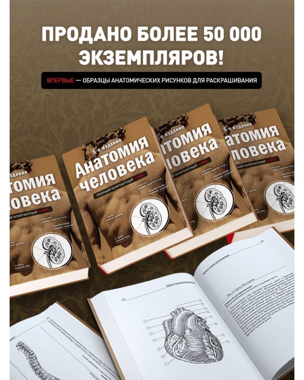 Анатомия человека: полный компактный атлас. 6-е издание
