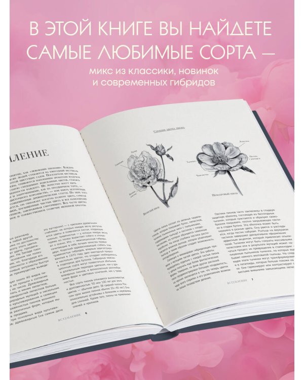 Пионы. Роскошные цветы для дома и сада