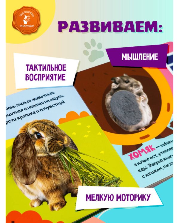 Мои питомцы