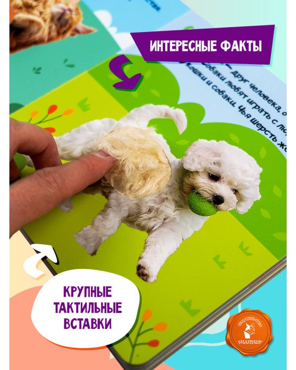 Мои питомцы