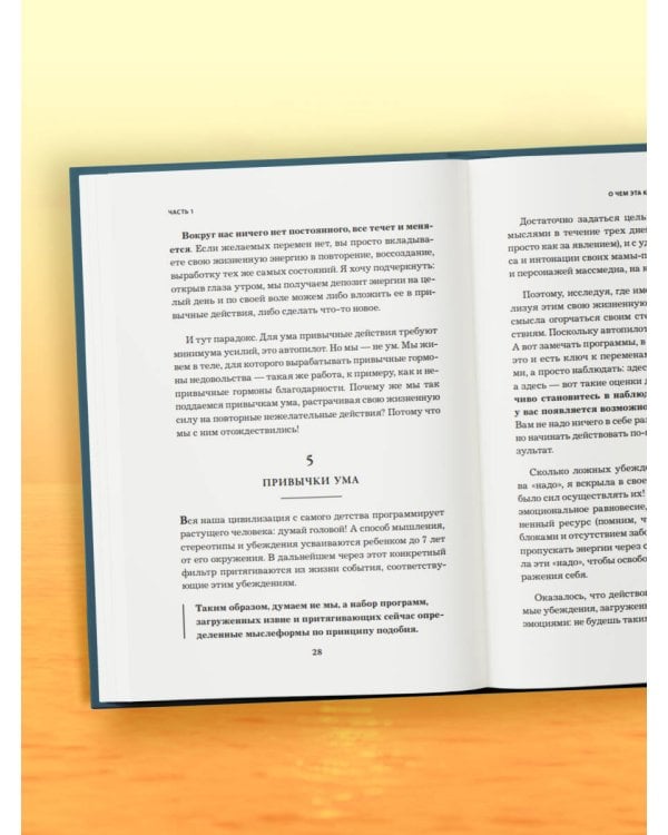 Компас внутри нас. Как сохранять равновесие в мире перемен