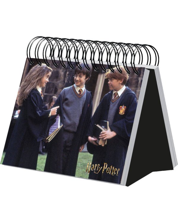 Гарри Поттер. Настольный календарь в футляре