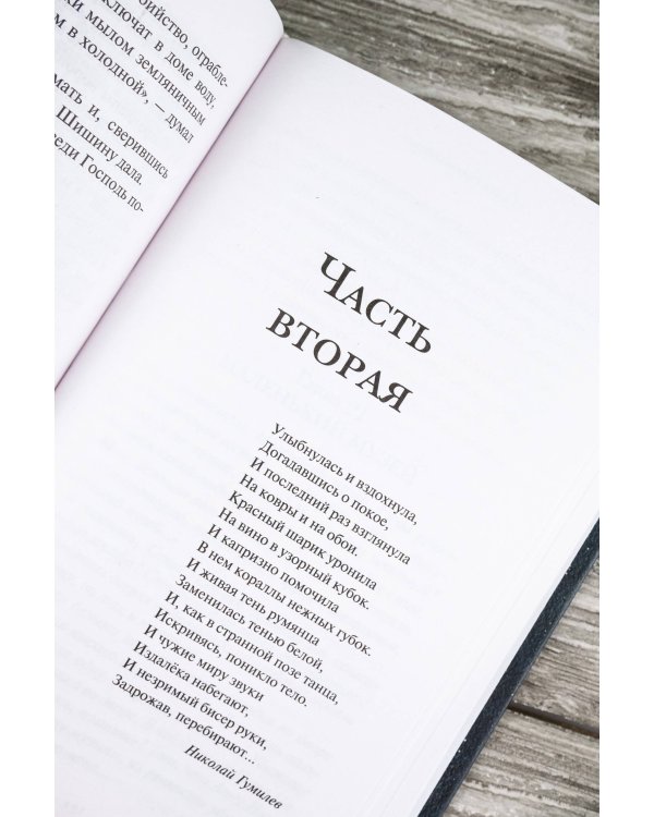 Убить Бобрыкина. САШАШИШИН