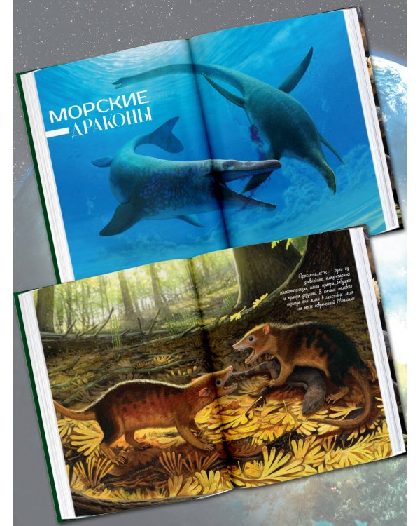 Здесь жили динозавры