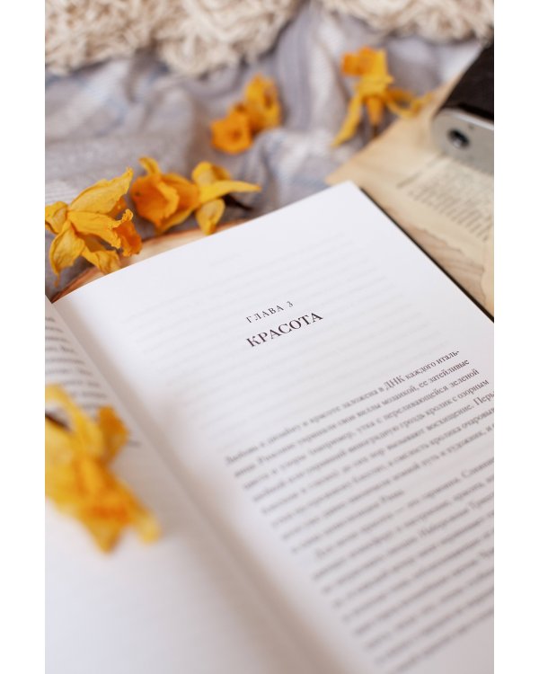 Эстетика как код бренда. Привлекайте клиентов совершенным бизнес-продуктом