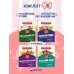 Комплект 4 в 1: Весь курс начальной школы 1-4 класс (ИК)