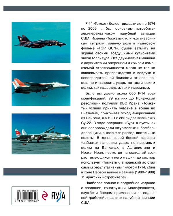 Истребитель-перехватчик F-14 «Томкэт». «Рабочая лошадка» палубной авиации США