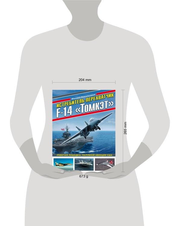 Истребитель-перехватчик F-14 «Томкэт». «Рабочая лошадка» палубной авиации США