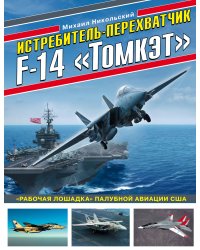 Истребитель-перехватчик F-14 «Томкэт». «Рабочая лошадка» палубной авиации США