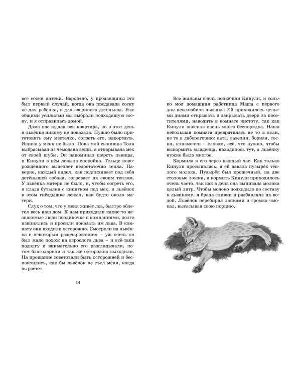 Фомка - белый медвежонок