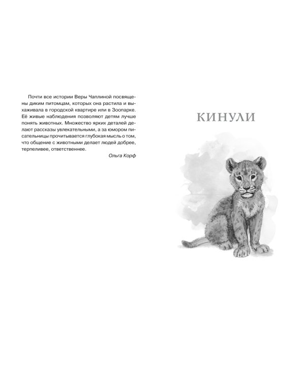 Фомка - белый медвежонок