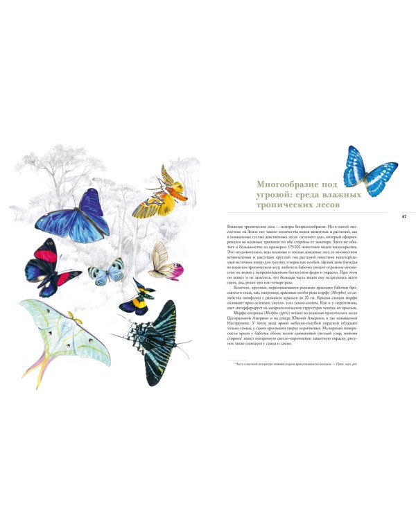 Бабочки. Основы систематики, среда обитания, жизненный цикл и магия совершенства