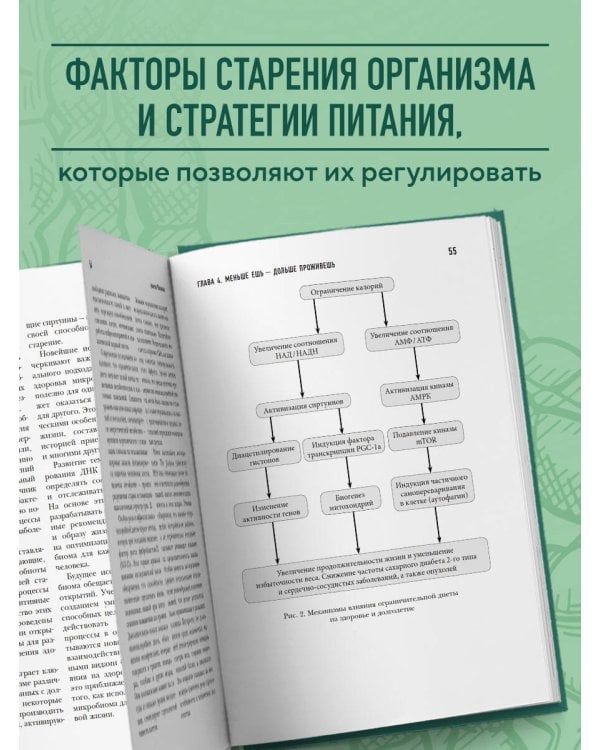 Кишечник долгожителя. 7 принципов диеты, замедляющей старение. 3-е издание