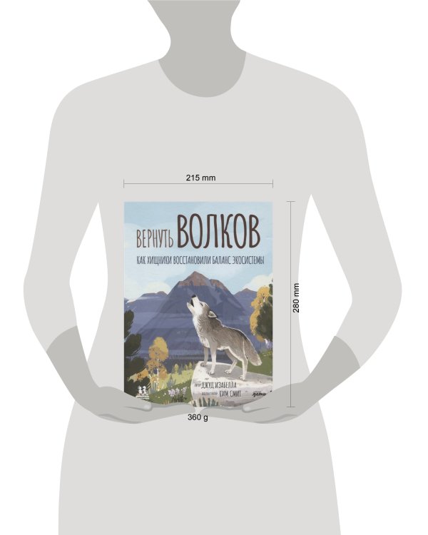 Вернуть волков: как хищники восстановили баланс экосистемы
