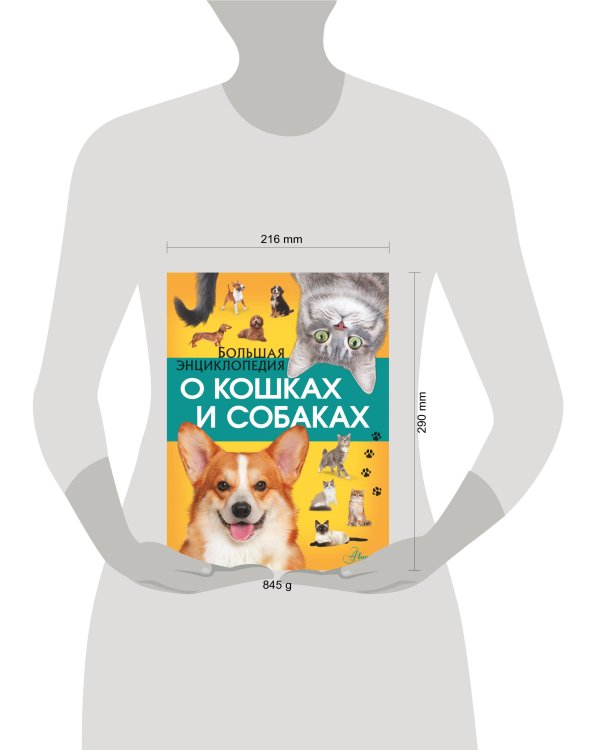 Большая энциклопедия о кошках и собаках