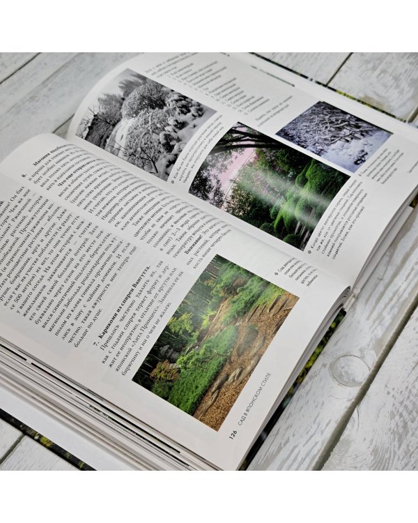 Сад в японском стиле. От идеи до воплощения